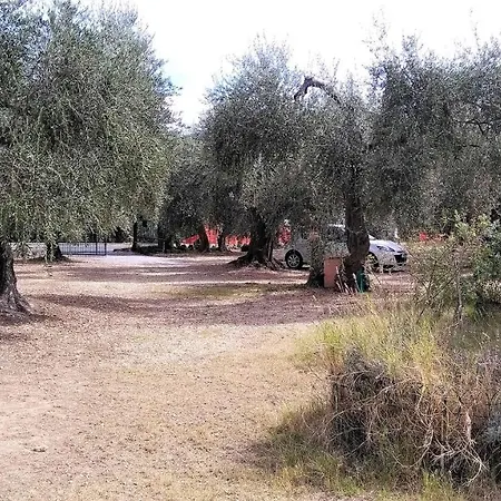 Villa Diano Castello Holiday home