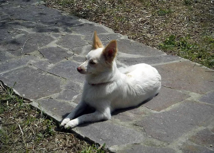 Villa Diano Castello